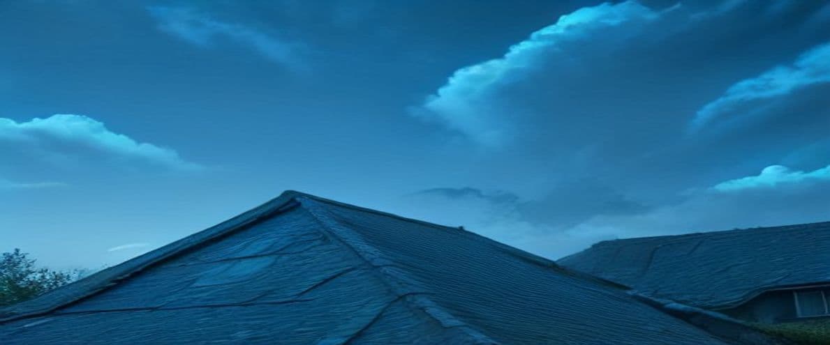 Tyler Homeowners: Safety First in the First 48 Hours After a Storm